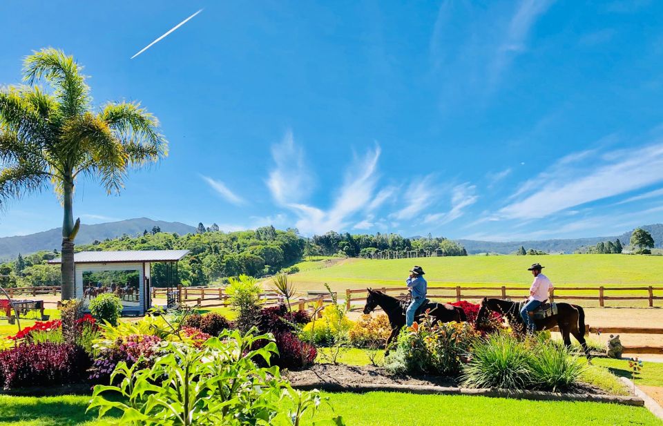 Cairns: Skyrail, Quad Biking, Zoo, and Kuranda Half-Day - Recommendations