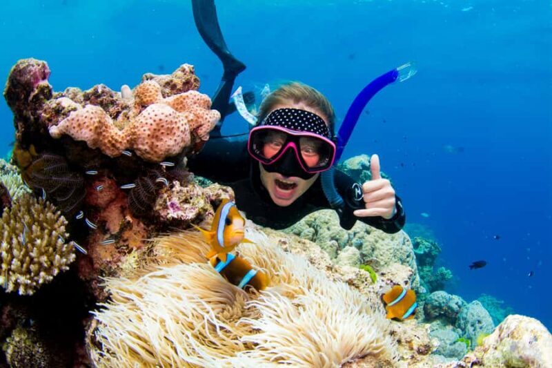 Cairns: Snorkelling and Diving Reef Day Trip - The Itinerary: A Closer Look