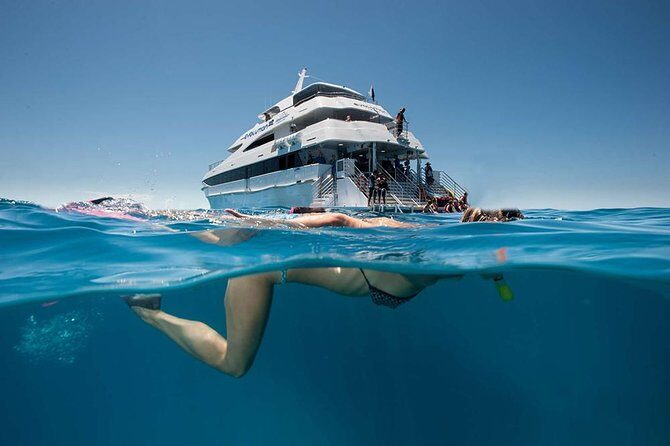 Cairns Super Saver: Reef Cruise, Daintree & Kuranda Rail/Skyrail - The Itinerary in Detail