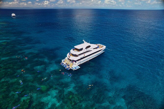 Cairns Super Saver: Reef Cruise, Daintree & Kuranda Rail/Skyrail - Who Will Benefit Most?