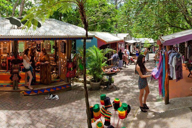 Cairns Super Saver: Reef Cruise, Daintree & Kuranda Rail/Skyrail - The Sum Up: Is It Worth It?