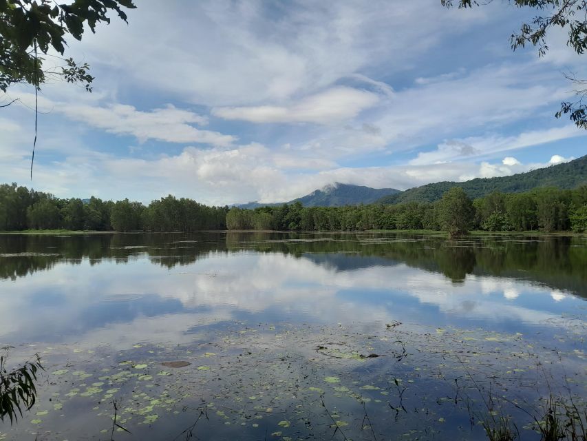 Cairns: Waterfall, Wetlands and Skyrail - Inclusions