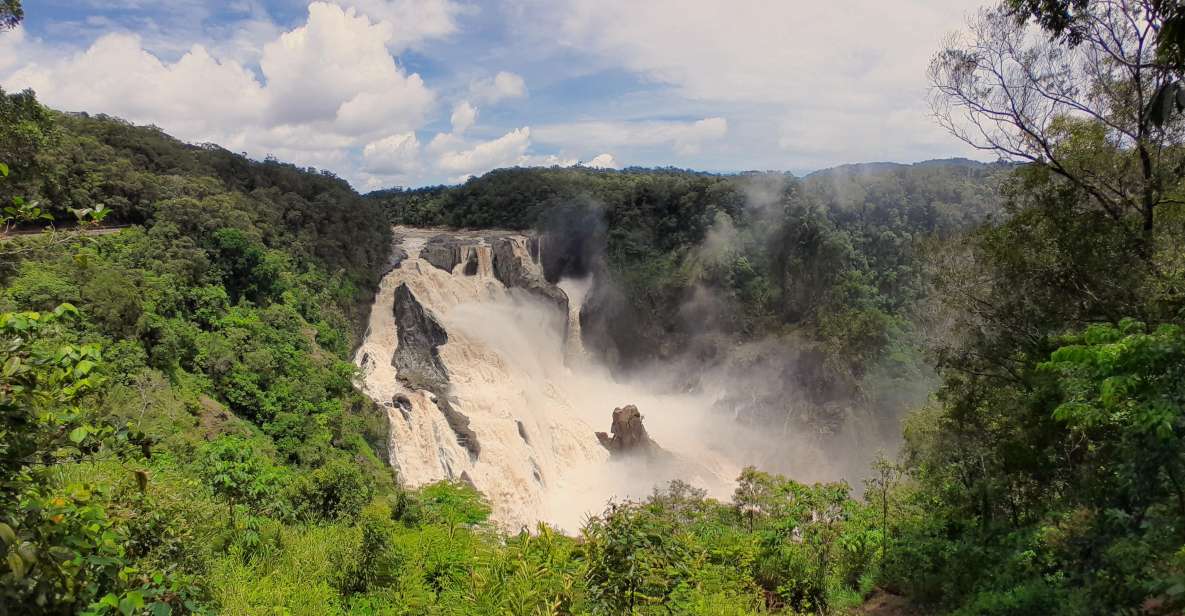 Cairns: Waterfall, Wetlands and Skyrail - Accessibility Information