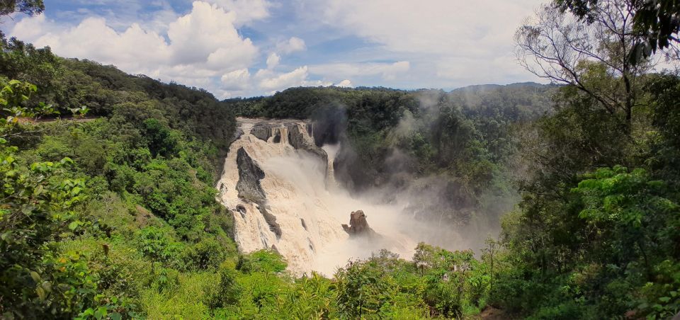 Cairns: Waterfall, Wetlands and Skyrail - Recap