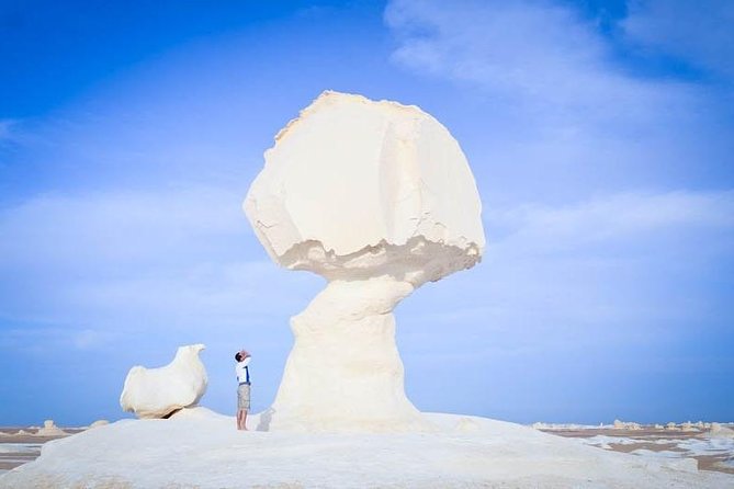 Cairo : 3 Days White & Black Desert Safari Trip - Pickup Information