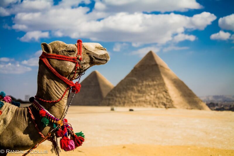 Cairo: 4-Day Egypt Highlights Private Tour With Lodging - Transportation and Transfers