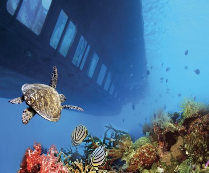 Cairo: Ain Sokhna Semi-Submarine With Optional Transfer - Accessibility Features