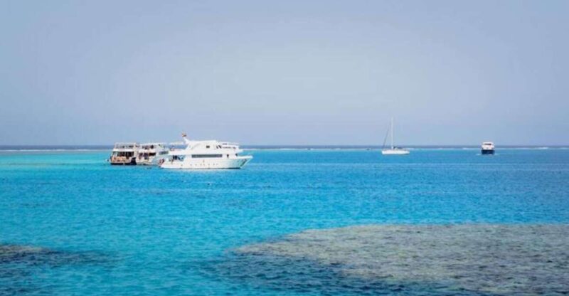 Cairo : Day Trip at the Red Sea at Stella Di Mare - Itinerary Overview