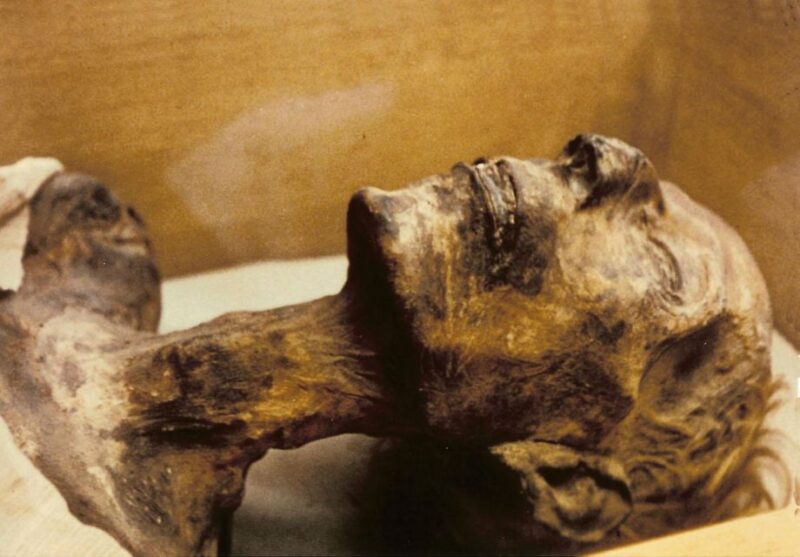 Cairo: Egyptian Museum 4-Hour Private Tour With Transfer - Frequently Asked Questions