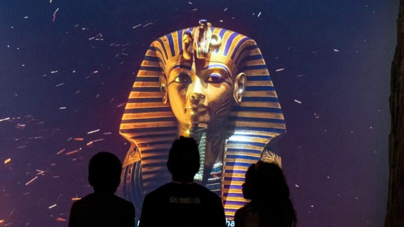 Cairo: Grand Egyptian Museum Entry Tickets With Hotel Pickup - Museum Highlights