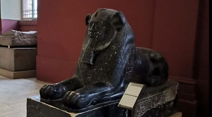 Cairo: Great Pyramids, Egyptian Museum, Bazaar Layover Tour - Pricing Information