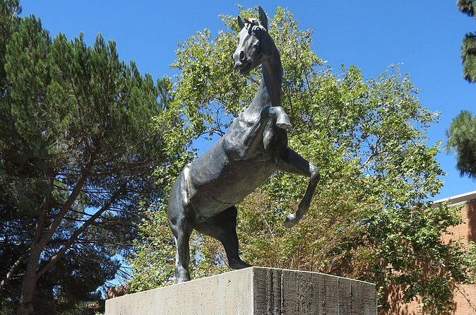 Cal Poly Scavenger Hunt and Escape Game - Who Should Consider This Tour?