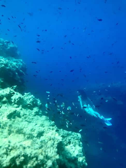 Cala Codolar: Sea & Caves Kayaking Tour with Snorkeling - Authentic Feedback from Travelers