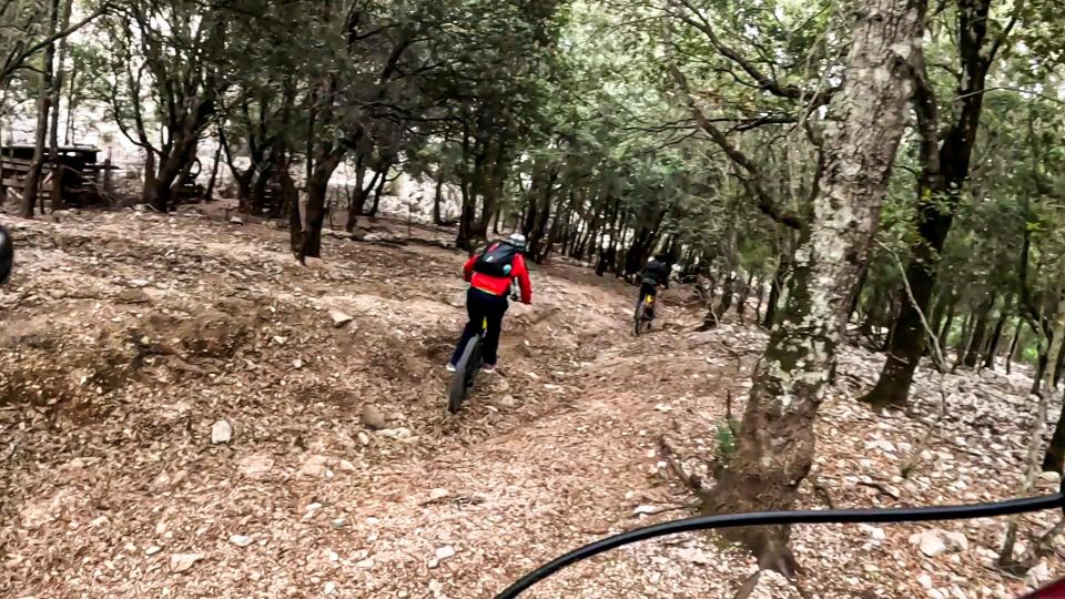 Cala Gonone and Dorgali E-Bike Tour - Tasting Local Artisan Products
