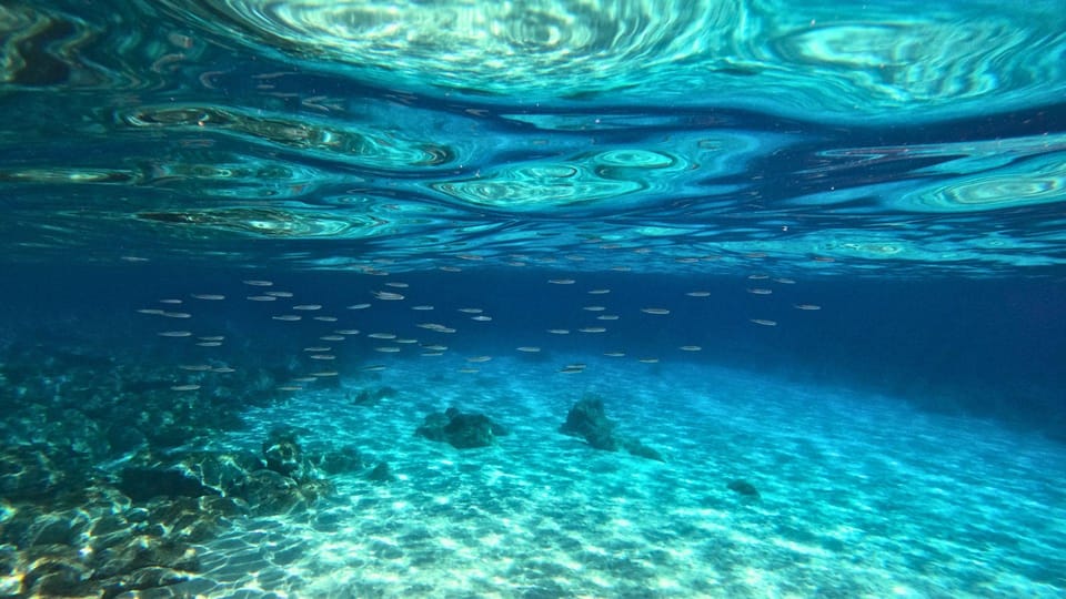 Cala Gonone: Snorkeling in the Orosei Gulf - Activity Overview