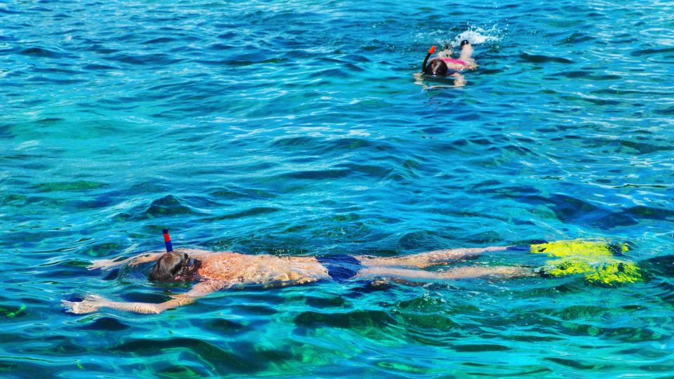 Cala Gonone: Snorkeling in the Orosei Gulf - Meeting Point and Preparation