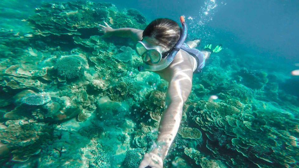 Cala Gonone: Snorkeling in the Orosei Gulf - Pricing and Booking Details