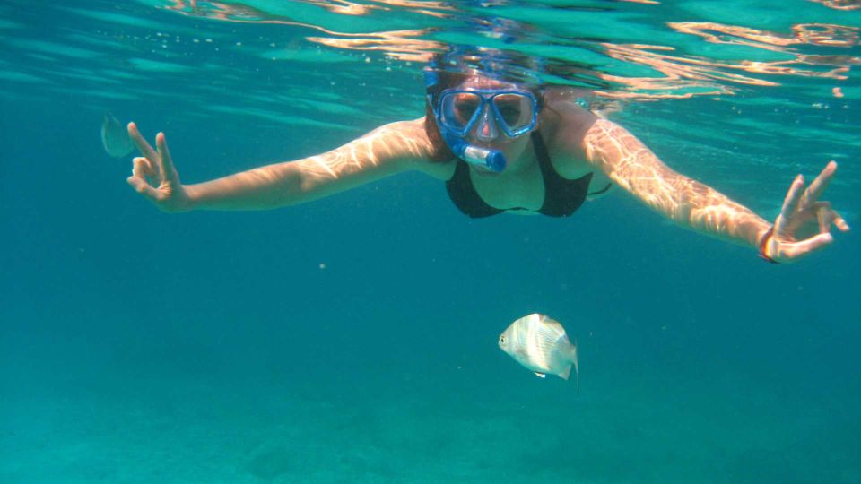 Cala Gonone: Snorkeling in the Orosei Gulf - Preparation for Your Trip