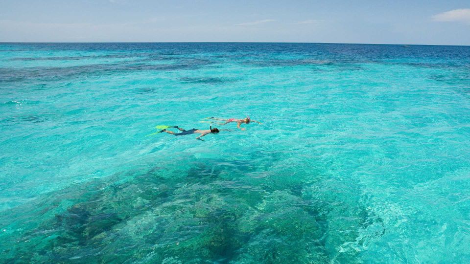 Cala Gonone: Snorkeling in the Orosei Gulf - Discovering Marine Life