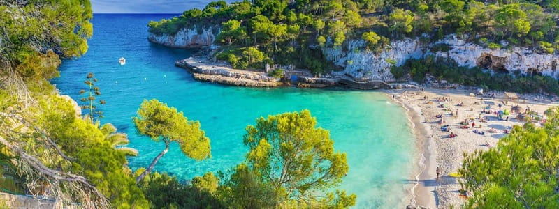 Cala Llombards o Cala Santany & Es Pontas Snorkel and SUP - Water Activities and Equipment