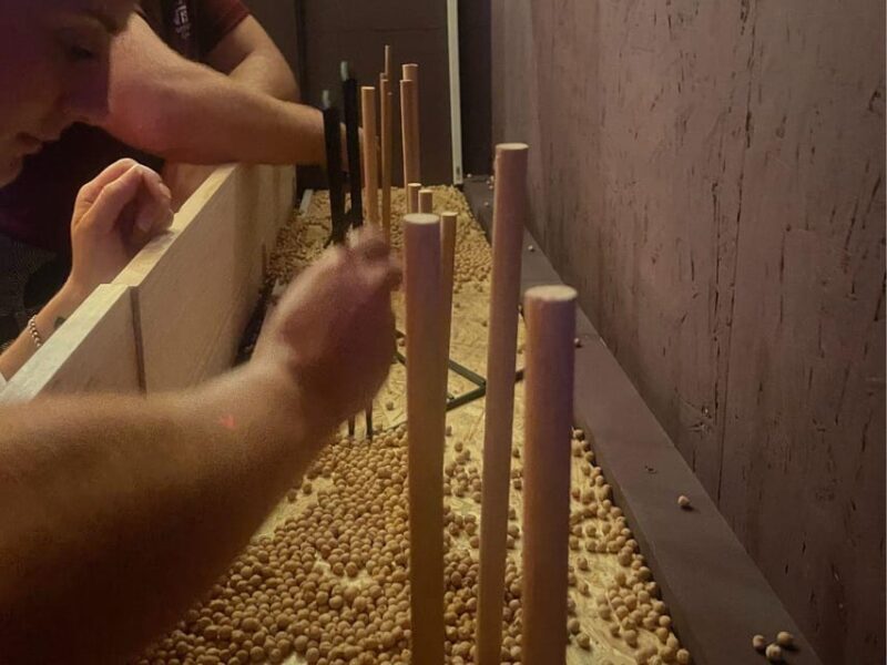 Cala Millor: indoor game "FunChallenge",duels,creative tasks - FAQ  