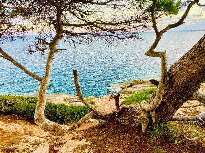 Cala Millor: real treasure hunt in natural reserve, fun walk - An In-Depth Look at the Treasure Hunt Experience