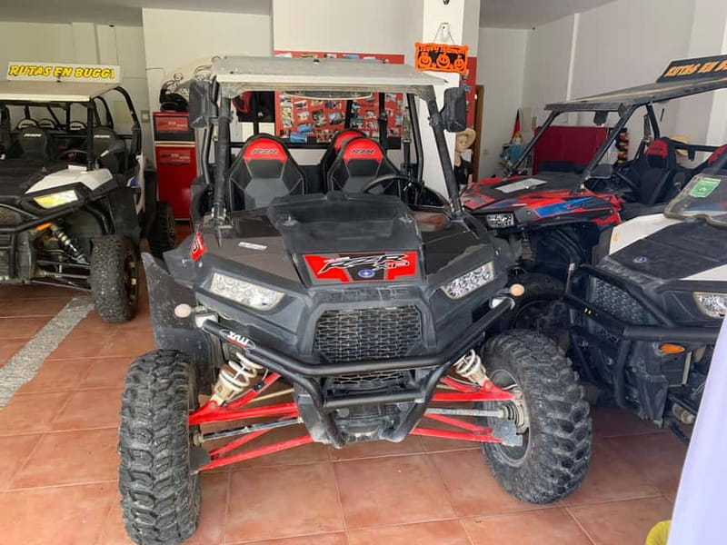 Cala Ratjada: Exclusive buggy tour also for families - Key Points