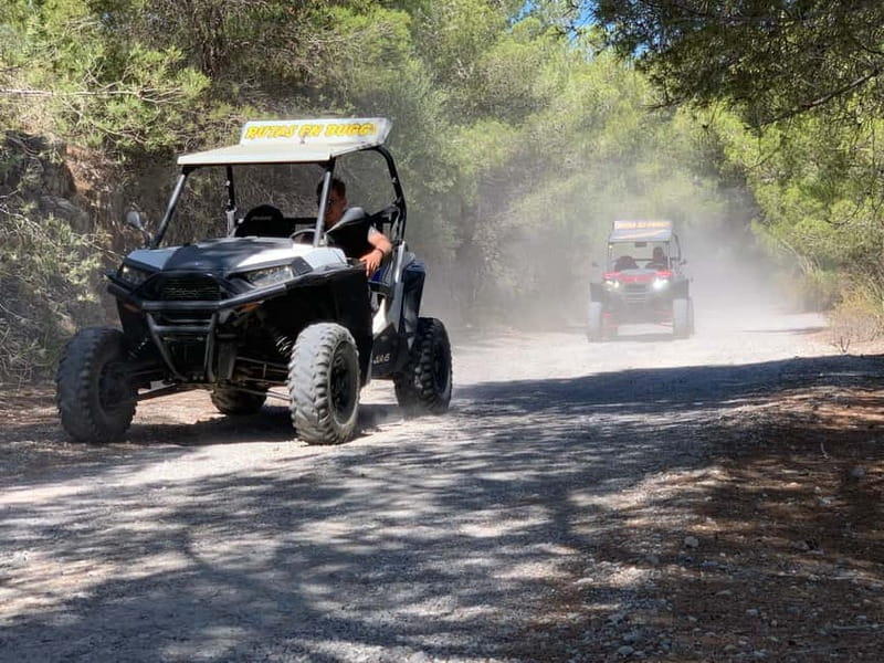 Cala Ratjada: Exclusive buggy tour also for families - What the Experience Feels Like