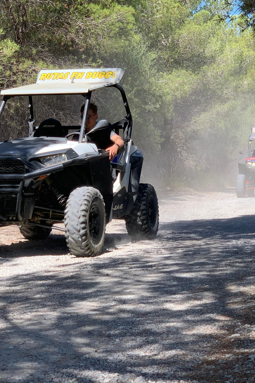 Cala Ratjada: Exclusive buggy tour also for families - Practical Details and What to Know Before Booking