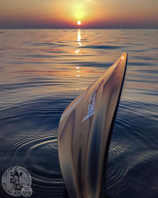 Cala Ratjada: Stand Up Paddle Sunrise Tour - Tour Experience