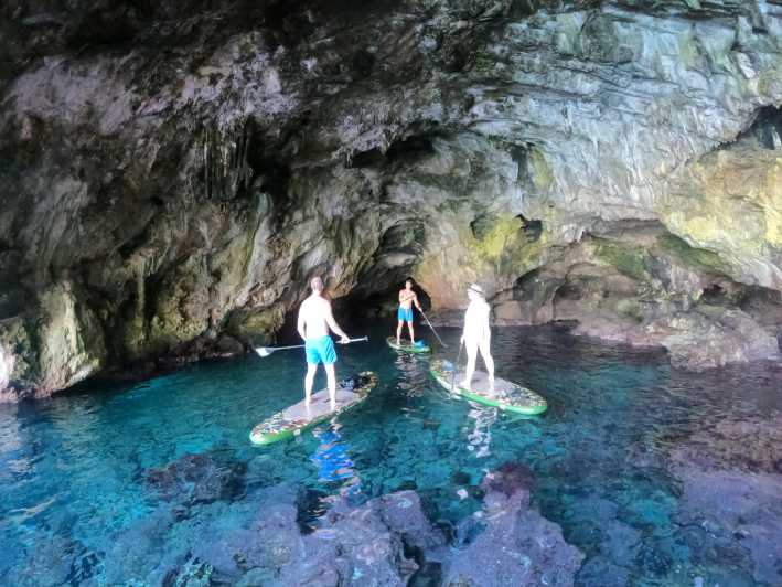 Cala Ratjada: SUP SAFARI TOUR 2H - Tour Highlights