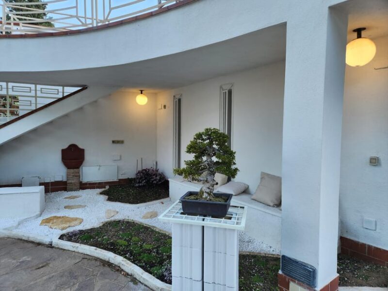 Calabria: 3-Day Bonsai Workshop with Accommodation - An Overview of the Experience