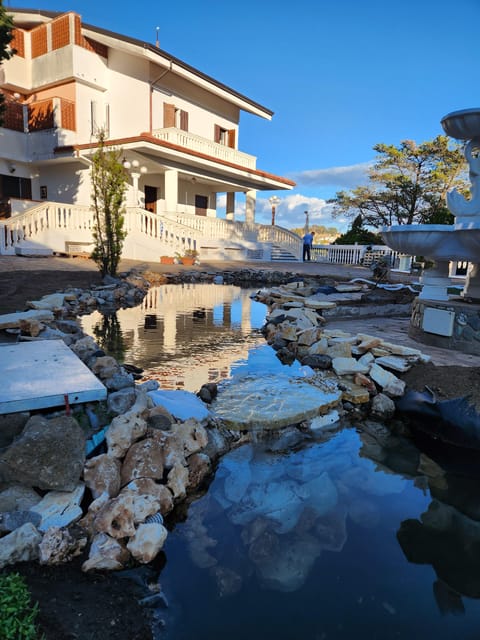 Calabria: 3-Day Bonsai Workshop with Accommodation - What Makes This Workshop Unique?