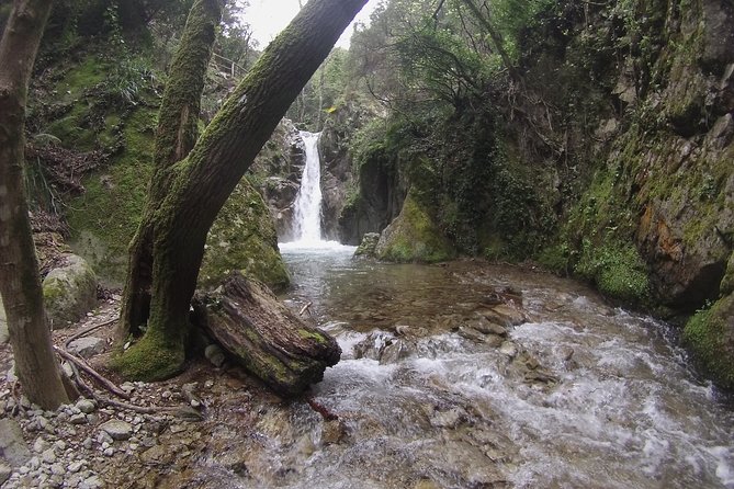 Calabria Hiking Excursion Review - Fitness Level and Accessibility