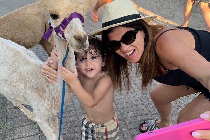 Calabrian Alpacas Sunset Beach Experiences Pizzo VV AlpacSelfies - What to Expect from the Calabrian Alpacas Sunset Beach Experience