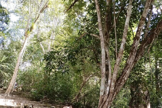 Calakmul and Bat Cave Tour from Bacalar - Key Points