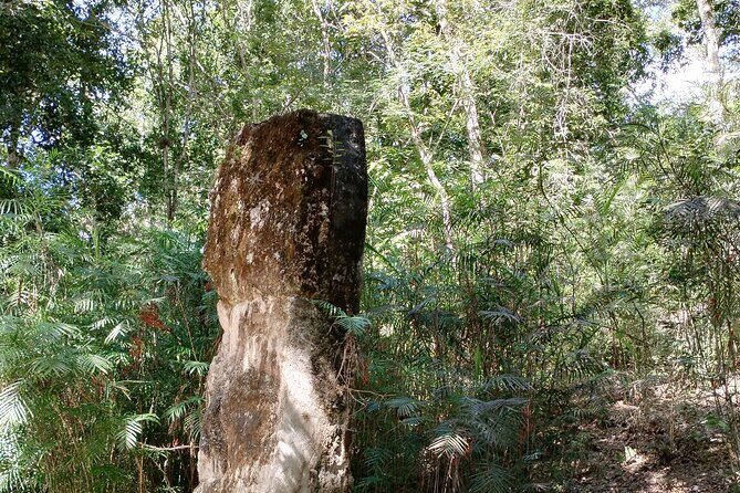 Calakmul and Bat Cave Tour from Bacalar - The Sum Up: Who Is This Tour Best For?