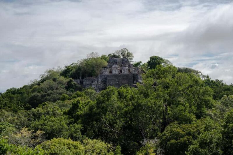 Calakmul Tour: Among Animals and Mayan History - The Sum Up
