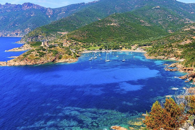 Calanches De Piana and Scandola Reserve Cruise With Swimming Stop - Free Cancellation