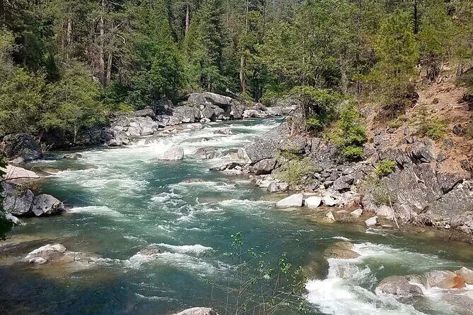 Calaveras Big Trees State Park Day Tour - Final Thoughts