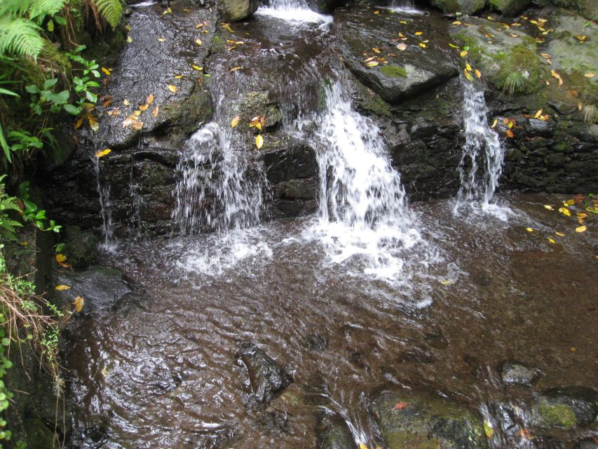 Caldeirão Verde Full Day Hike - Inclusions of the Tour