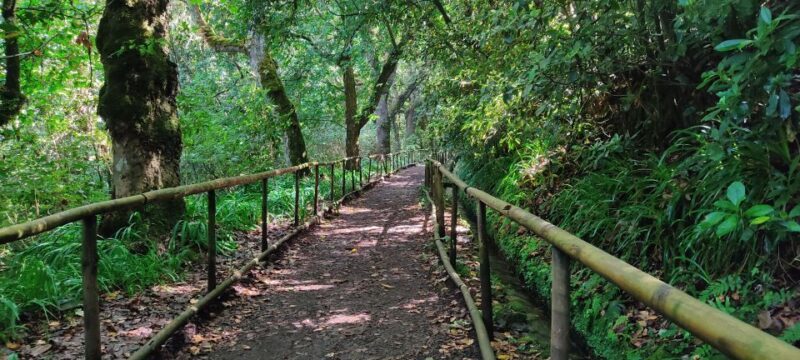 Caldeirão Verde: Queimadas PR9 Transfer and Self-Guided Hike - Practical Considerations