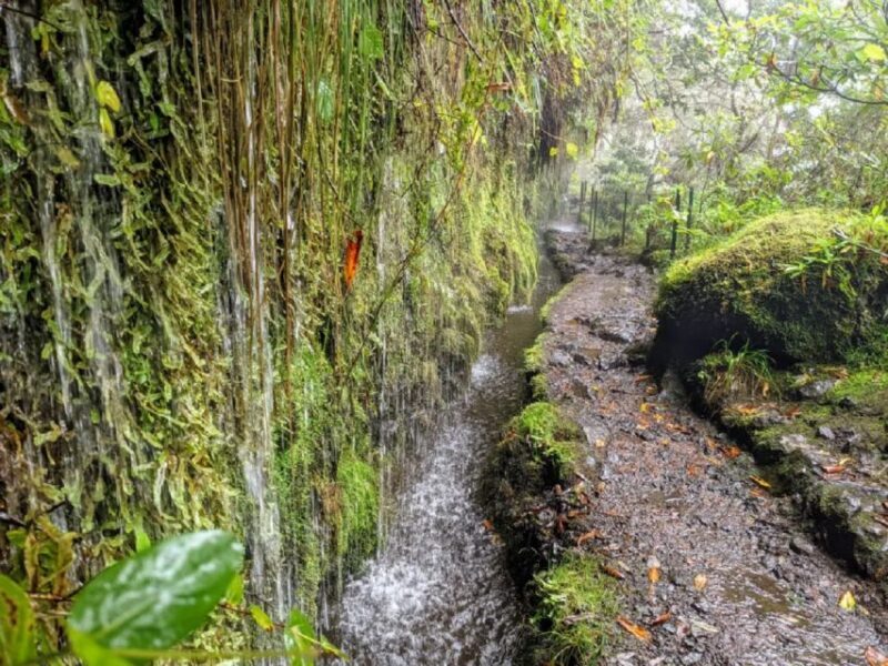 Caldeirão Verde: Queimadas PR9 Transfer and Self-Guided Hike - An In-Depth Look at the Experience