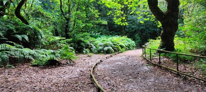 Caldeirão Verde: Queimadas PR9 Transfer and Self-Guided Hike - Who Will Love This Tour?