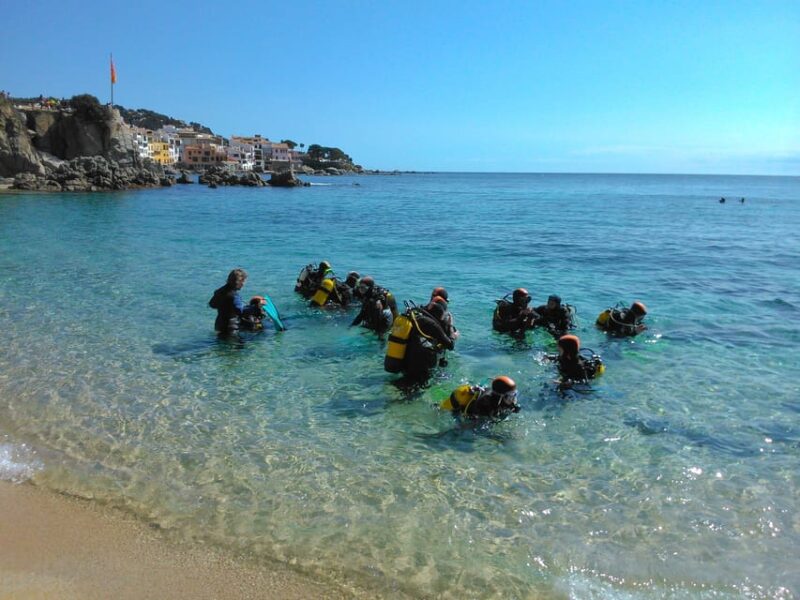 Calella De Palafrugell : Discover Scuba Diving Experience - Key Points