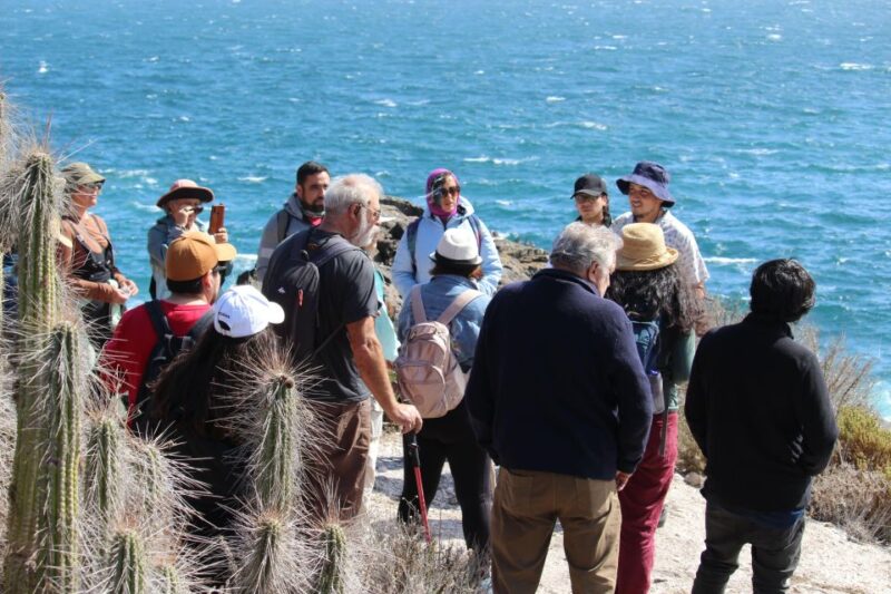 Caleta Los Hornos: Hiking Archaeological Sites - Key Points