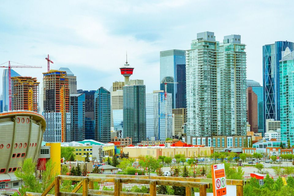 Calgary: 3-Hour Sightseeing Bus Tour - Booking Details and Availability