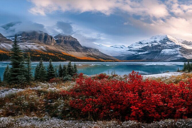 Calgary: Columbia Icefield Adventure, Skywalk and Peyto Lake Tour - Final Thoughts: Who Will Love This Tour?