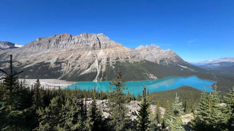 Calgary: Columbia Icefield & Bow Lake & Peyto Lake - Analyzing the Value: Is It Worth It?