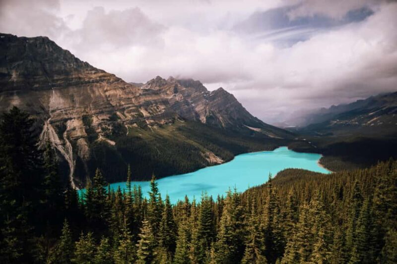 Calgary: Columbia Icefield & Skywalk, Peyto, Bow & Glaciers - The Glacier Experience: Skywalk and Ice Explorer